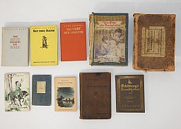 9 alte Bücher 1899–1938: Medizin, Wissenschaft, Kunst, Reisen, Belletristik