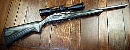 Ruger 10/22 Kaliber .22lr
