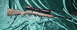 Marlin mod XT22cal 22 lfb & Optik 6-24