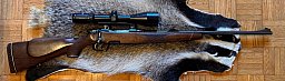 Steyr Mannlicher Mod.M 6x57