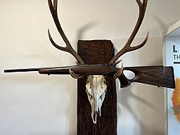 Mauser M12 Max .308, 51cm LL, Neu u. sofort lieferbar v. Willenbach Gmbh