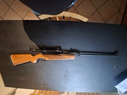 Diana Mod.45