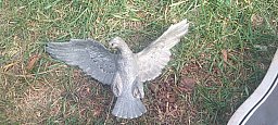 Tischadler Wehrmacht deutsches Reich Adler Dachbodenfund