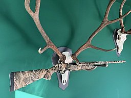 Winchester SXP – Mossy Oak Camo – 12/89 – Flinte - Repitierflinte