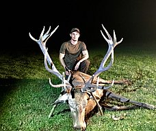 HIRSCHJAGD KEILERJAGD BARANJA KROATIEN