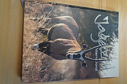 Jagdzeit International Nr. 18, Buchband der Reihe mit vielen interessanten Berichten siehe Fotos....