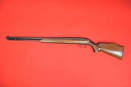 Halbautomatische Büchse Savage .22lr