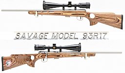 SAVAGE Stainless Repetierer Modell 93 BTVSS Kal .17 HMR mit Lochschaft & NIKON Monarch ZF 4-16x50 SF