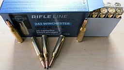 Munition PPU 243win TM
