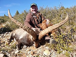 Steinbockjagd Spanien inkl. Abschuss ab € 3750.-