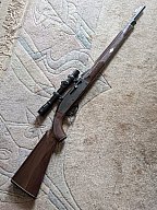 SLB 22lfb Remington