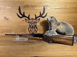 Blaser K95 Black Edition .308Win - 52cm - M15x1 - Holzklasse 6 - Waffen Schlemmer Ingolstadt