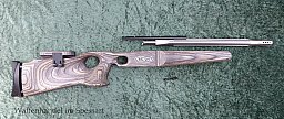 Walther GSP Umbauset zum Gewehr (halbautomatische Büchse)