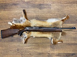 Sauer 303 .308Win