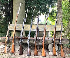 Konvolut Ordonnanzwaffen: Enfield SMLE, Gewehr 88, Steyr Kropatschek 1886, G11, K98 ect.