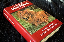 Das praktische Hundebuch - Mit dem großen Lexikon der Hunderassen Claudia Persson