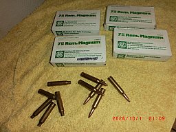 Jagd Kugelpatronen 7mm. Remington