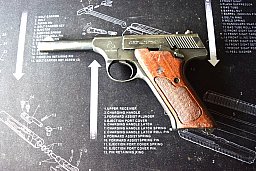 Colt Huntsman 22 lr.