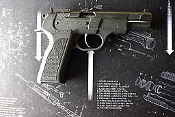 Tanfoglio Force 22 lr.