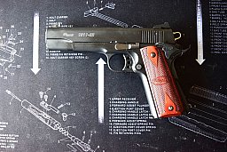SIG Sauer 1911-22 22 lr.