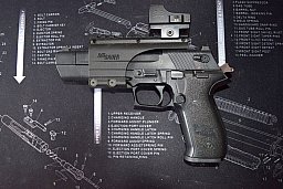 SIG Sauer Mosquito mit Burris Rotpunkt 22 lr.