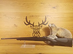 SAKO 85S Black Bear .308Win - 51cm - M15x1 - Waffen Schlemmer Ingolstadt