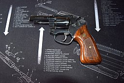Rossi 22 lr