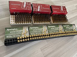 Verschossene Hülsen .308 Remington Premier Match und Hornady Catridge / ges. 209 Hülsen