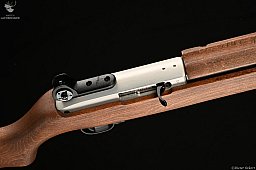 Ruger Modell 10/22 Carbine Kaliber .22lr