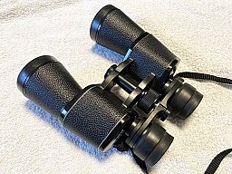 Japanisches Fernglas CARENA 8-20 x 50 ZOOM