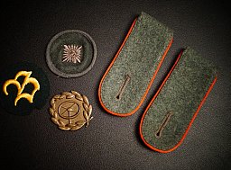WH FLAK ARI Schulterstücke, Kraftfahrer Abzeichen usw., Effektelot, WK2