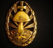 Slowakei Kampfabzeichen 1941, Protektorat Böhmen Mähren, Goldstufe, WK2