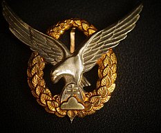 WK2 Protektorat Böhmen Mähren, gemeinsames Flugzeugführer Abzeichen