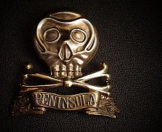 WK1 Peninsula Totenkopf, groß, für Pickelhaube, Auflager, geprägt