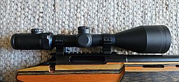 ZF Vixen