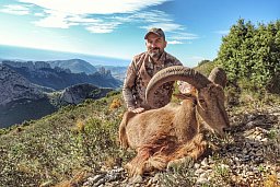 Mähnenschaf ohne Limit Spanien € 4295,-