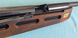 Diana LG re. Mod. 75