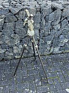 Primos Trigger Stick Gen 3 Dreibein Zielstock (Jim Shockey Edition) – Camo