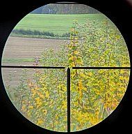 altes Zielfernrohr mit kurzer Seitenmontage