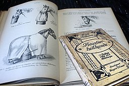 Th. Merk`s Haustier-Heilkunde für Landwirte - Wertvolles Buch aus 1919
