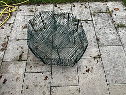 Elsternfalle – stabile Vogellebendfalle