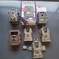 Wildkamera Konvolut - 6 Stück !!