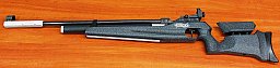 Walther LG300