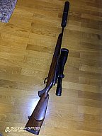 Sauer Weatherby in 300 Why mag