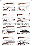 Poster " Anatomy : Rifles of WWII"