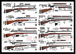 Poster " Anatomy : Carbines of WWII"