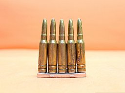 Sammler-/Dekomunition .308Win Exerzierpatrone 7,62x51 BUND/ BGS 5 Stück incl. Ladestreifen FN FAL/G1