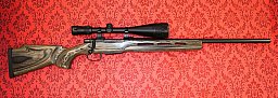 CZ550 Repetierbüchse .308W mit Bushnell Elite 3200, nicht Mauser 18 Sauer 100 Savage Winchester