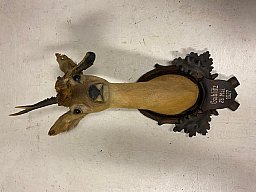 Jagd Reh Bock Trophäe Abnorm mit Brett 1927 Gablitz no Hirschfänger