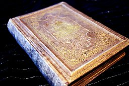 Amaranth - Oscar v. Redwik Buch aus 1874